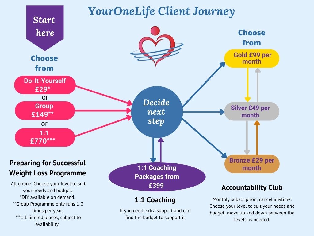 YourOneLife Client Journey